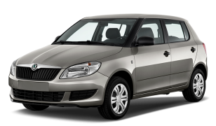 Двигатель Skoda Fabia в Москве