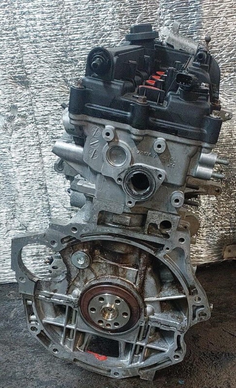 Двигатель Kia G4FG 1.6 Rio, фото 3, артикул 885105603