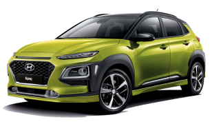 Двигатель Hyundai Kona в Москве