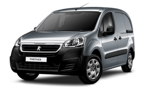 Двигатель Peugeot Partner в Москве